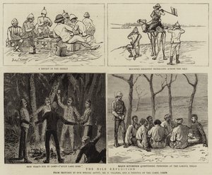 The Nile Expedition by Frederic Villiers